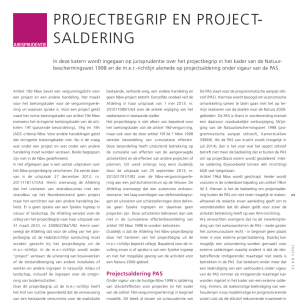 Projectbegrip en projectsaldering