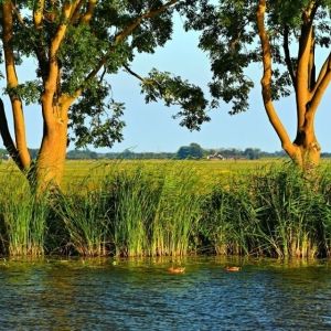 Indicatorenset gezonde leefomgeving