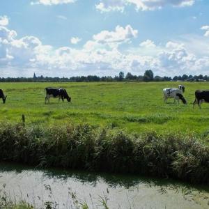 Provincies passen beleidsregel salderen aan