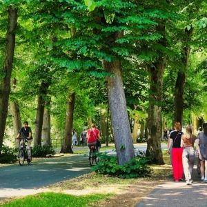 Basisset Indicatoren Gezonde Leefomgeving RIVM en TNO