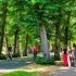 Basisset Indicatoren Gezonde Leefomgeving RIVM en TNO
