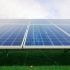 Zonnepark Lienden mer-beoordelingsplichtig